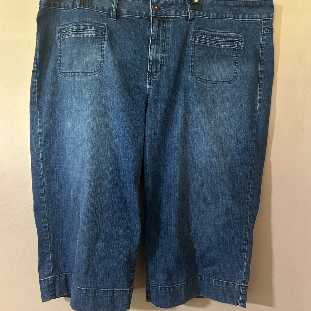Apt. 9 Dark Wash  crop wide leg Denim  with a stretch size 22